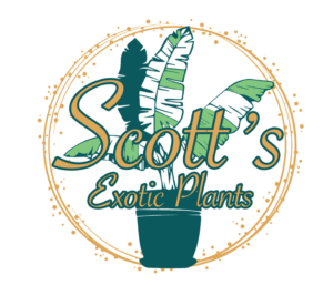 Scott's Exotic Plants Logo
